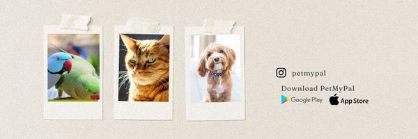PetMyPal Profile Banner