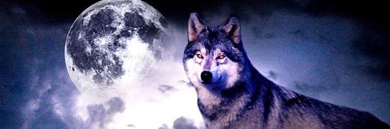 علـياء 🦋ꨄ banner