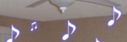 cora's banner