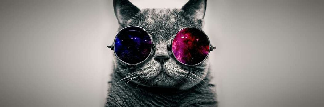 Nurmuhammed (NmC) banner