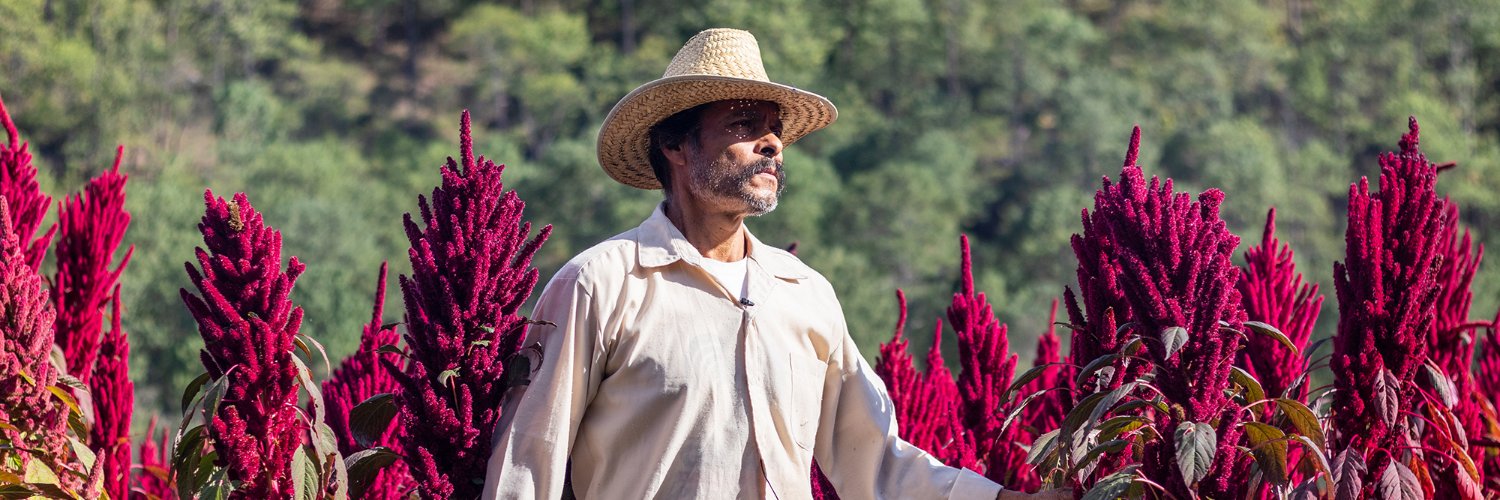 Groundswell International banner