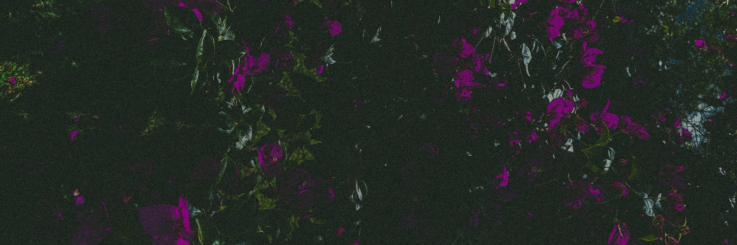 colours in the dark banner