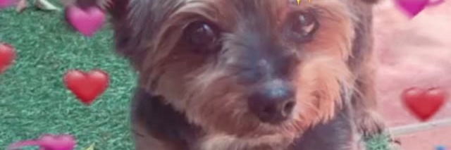 andyxetina's profile banner image