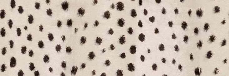 🌷 banner