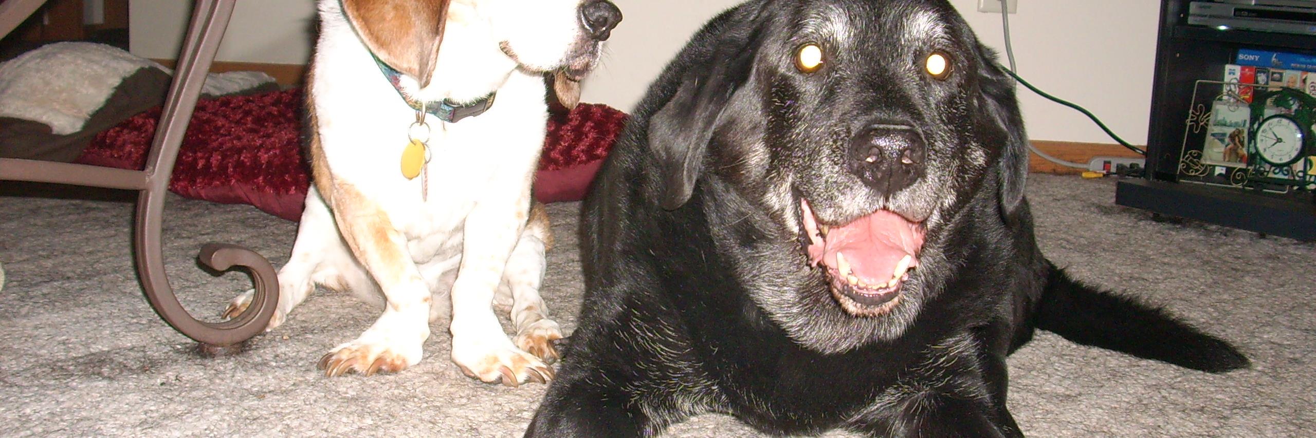 CTOBrien's profile banner image