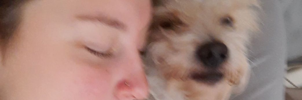 Mechi_lemos's profile banner image
