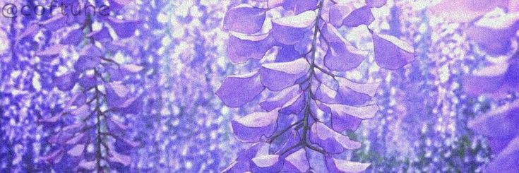 miyu banner