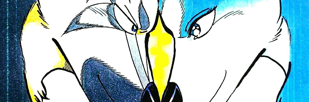 💎逢希︎🌟 banner