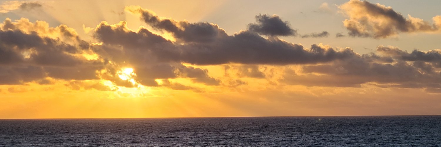 SherrieInGA's profile banner image