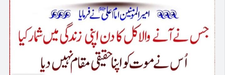 AimPak banner