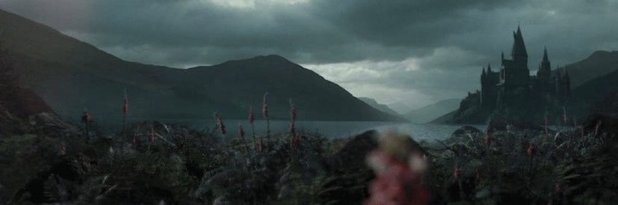 EliBachillerP's profile banner image