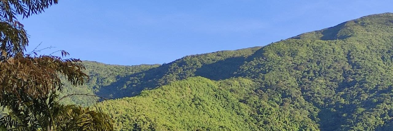 profenavas's profile banner image