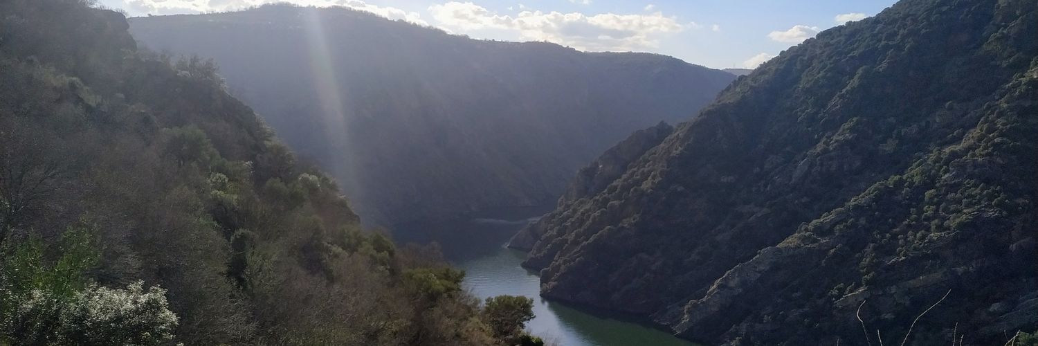 Elisa Frutos banner
