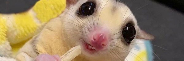 Nejlabktass's profile banner image