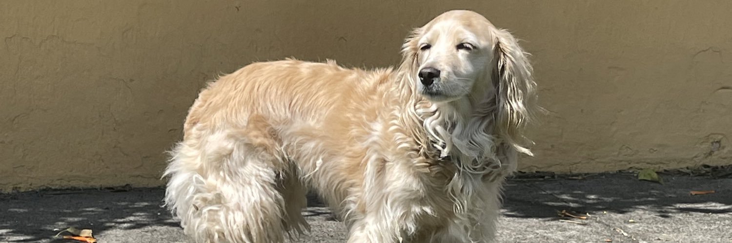 Samuel Martínez banner