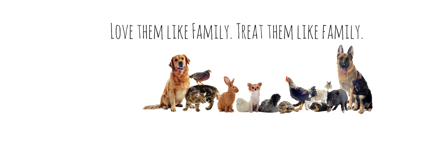 petprosservices's profile banner image