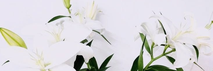 fiqri_eka's profile banner image