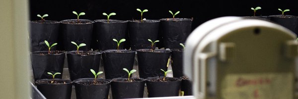 solpsantangelo Profile Banner