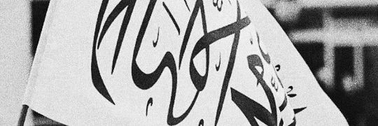 susanddt's profile banner image