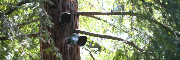 james_speaker Profile Banner