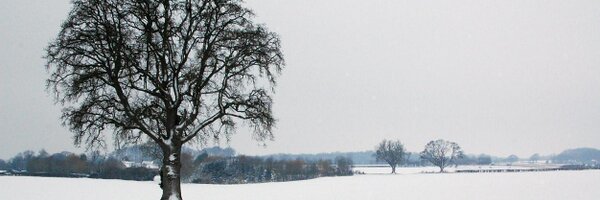 ShaneMcC Profile Banner