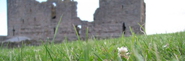 MSTurfgrass Profile Banner
