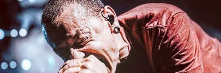 catzeri3235's profile banner image