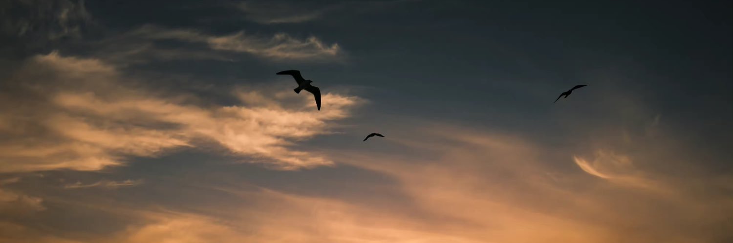 goslingitis's profile banner image