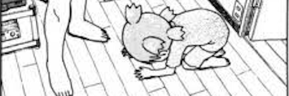 Darchao0's profile banner image