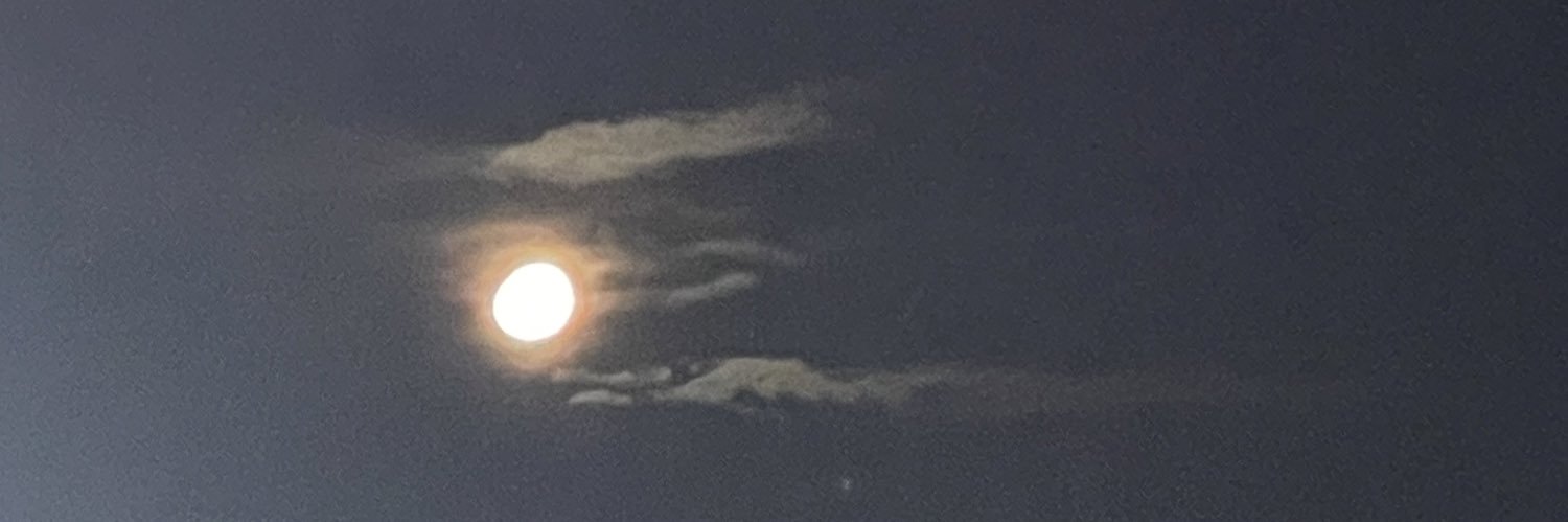 ortizquerido's profile banner image