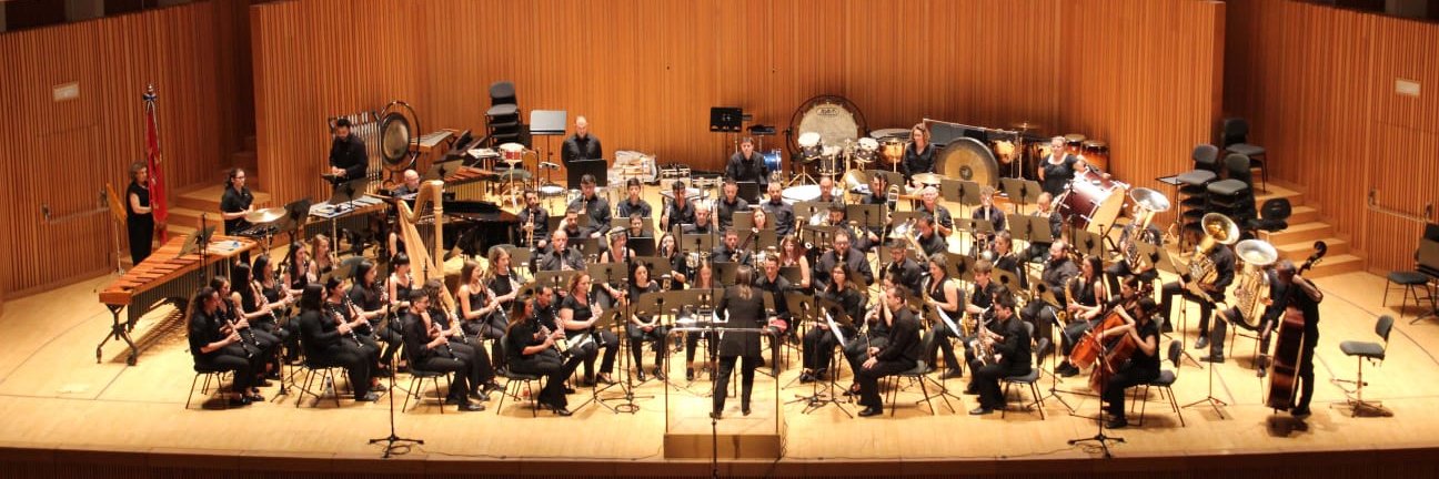 UnióMusicAlqueriense banner