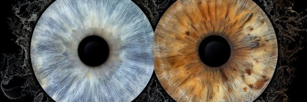 ColinWilks6 Profile Banner