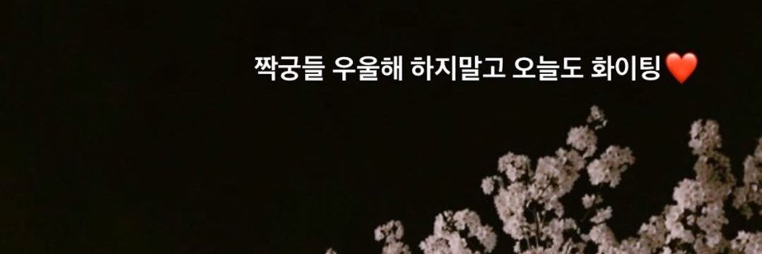 도피곰's banner
