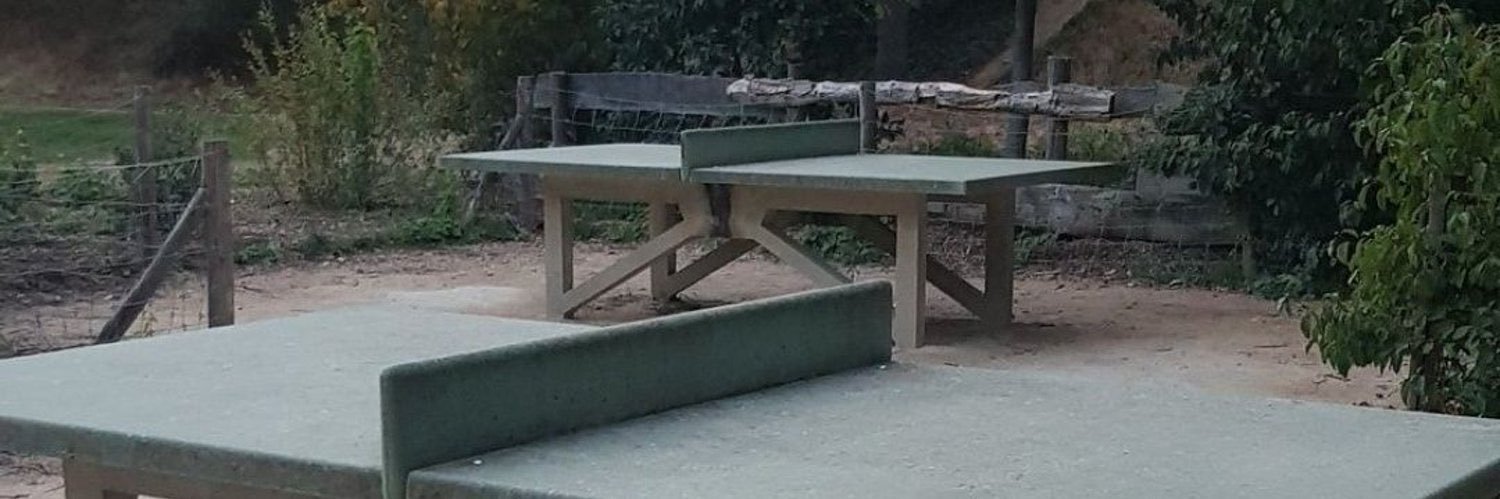 Agent12🇫🇷 banner