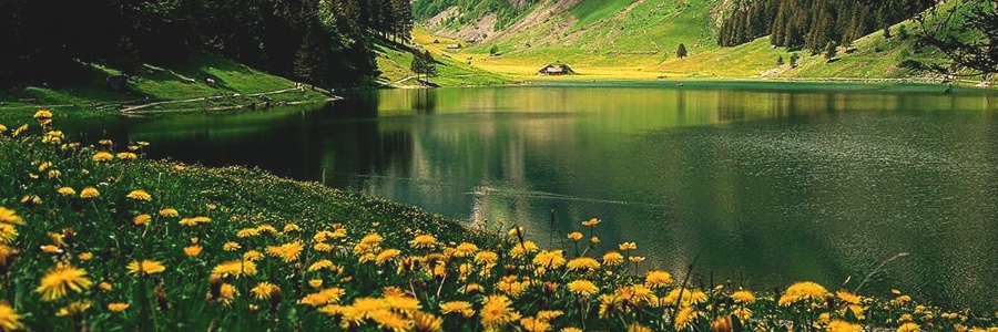 Mr_Digger 🇦🇺⚡️⚡️ banner