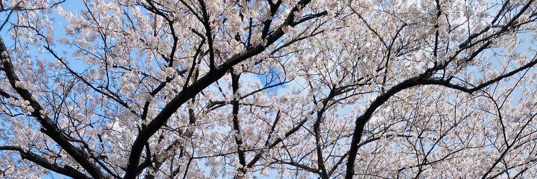 あー banner