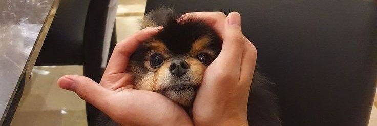 leezaArmy's profile banner image