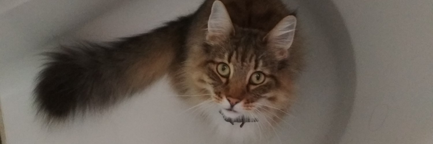 Terezaishere's profile banner image