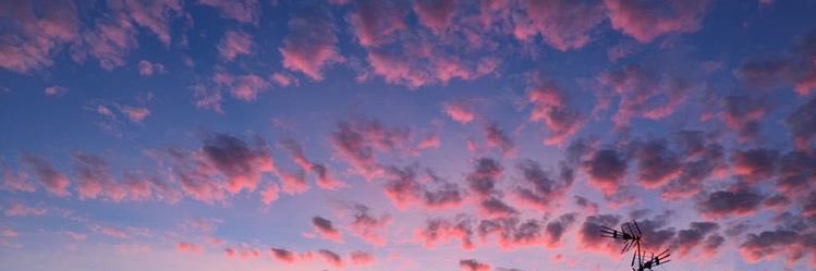 rosa lorente💌 banner