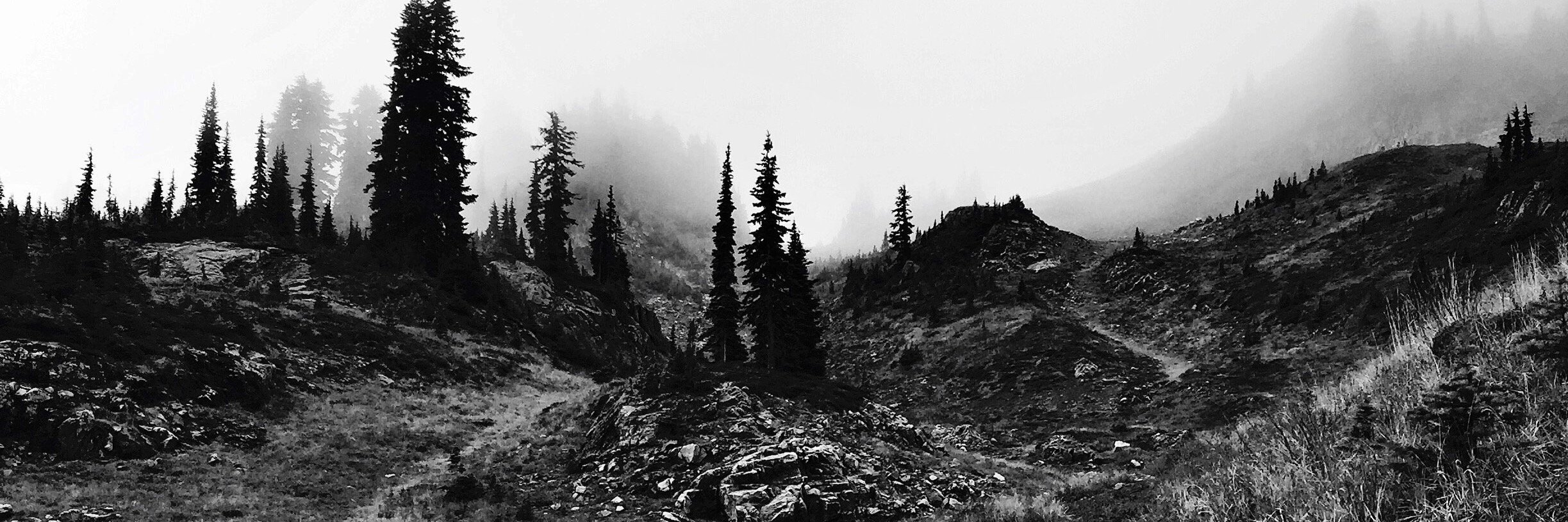 JessKeenerPhoto's profile banner image
