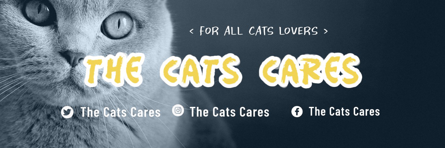 thecatscares's profile banner image