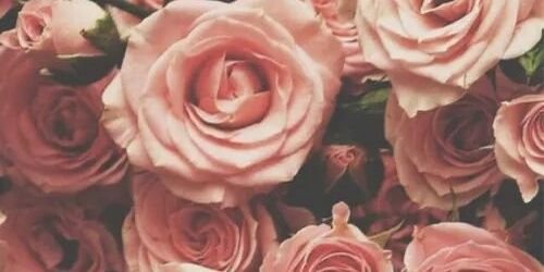 paucham12's profile banner image