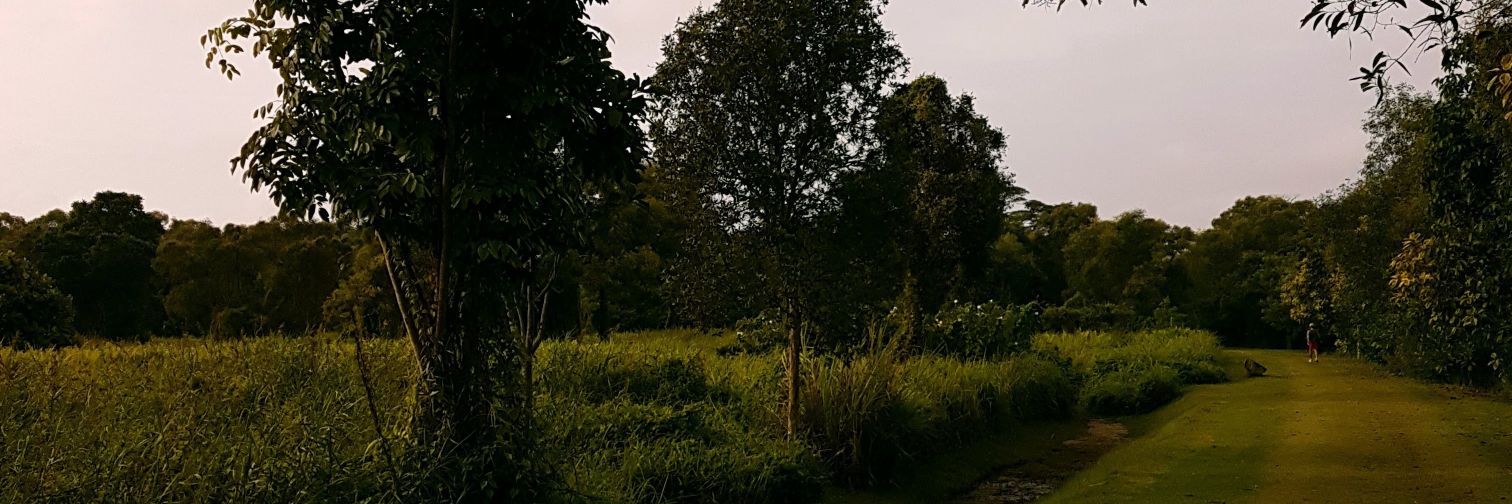 zhaaaaaf's profile banner image
