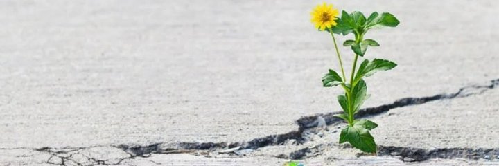 Dr Prerna Bakshi banner