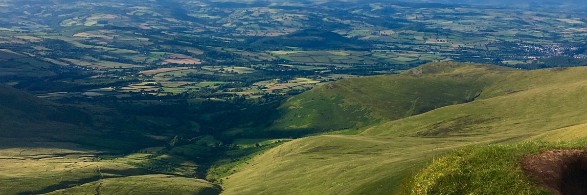 CrystalFez's profile banner image