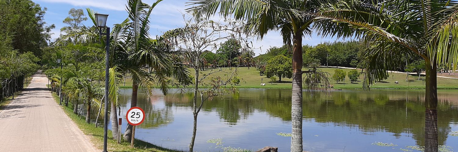 margarethgolin@hotmail.com banner