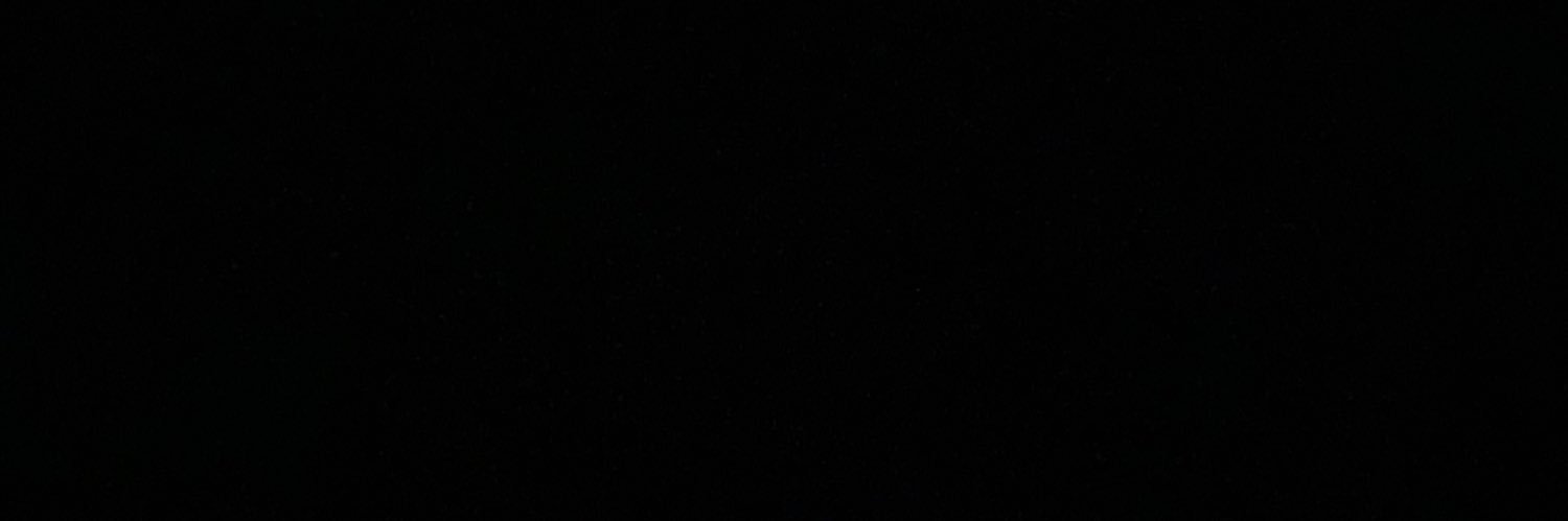 .🦦's banner
