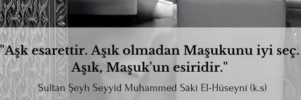 Halil Eroglu, banner