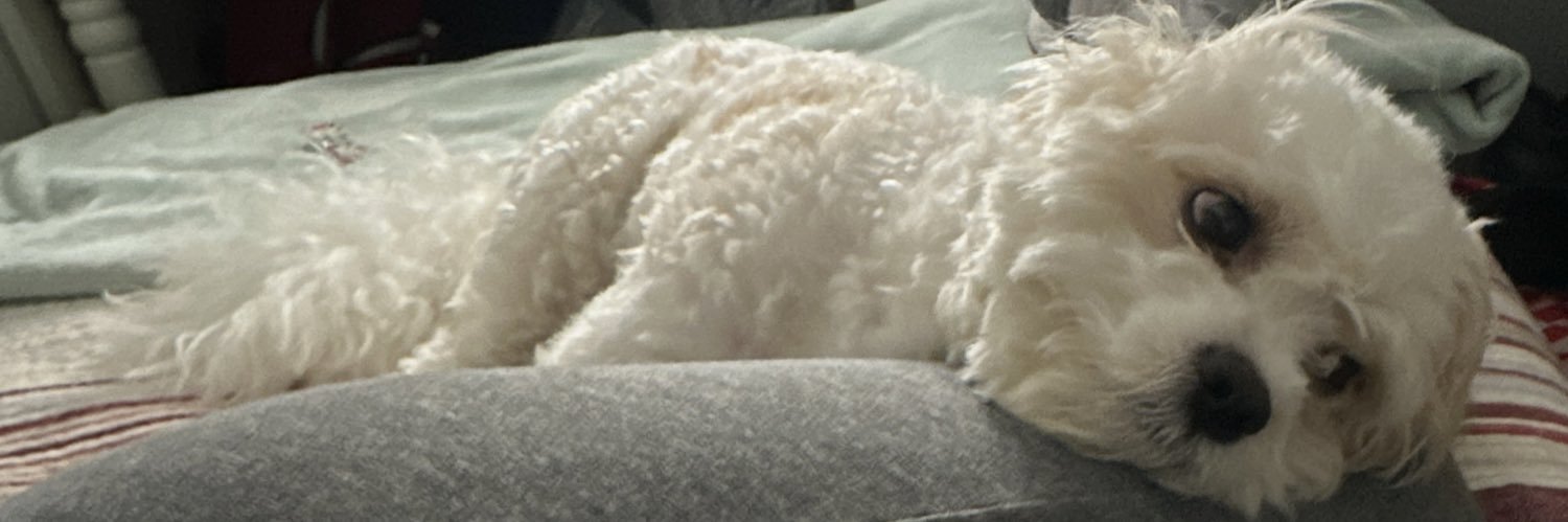 monkeeeysx3's profile banner image