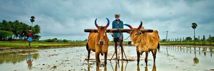 _ShubhamGurjar's profile banner image